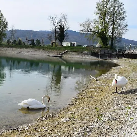 Апартаменты Borovnica Catez Чатеж-об-Сави