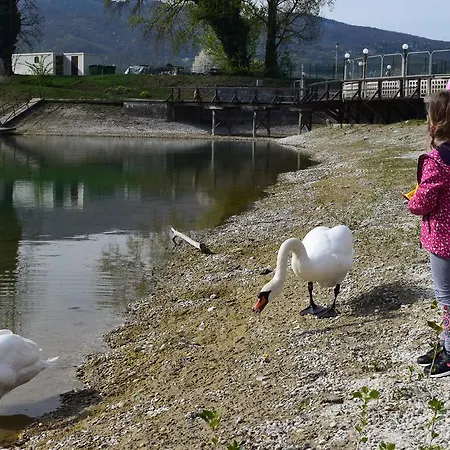 Апартаменты Borovnica Catez Чатеж-об-Сави