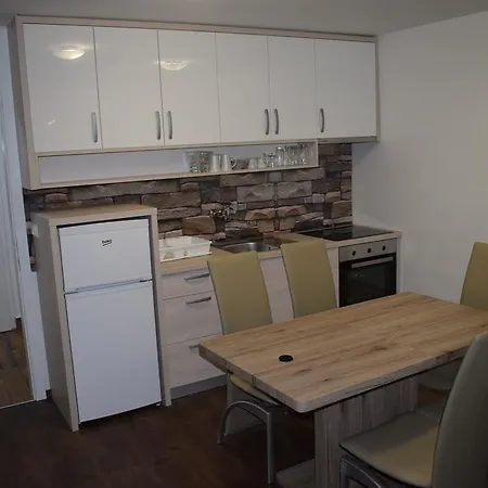 Lejlighed Borovnica Catez