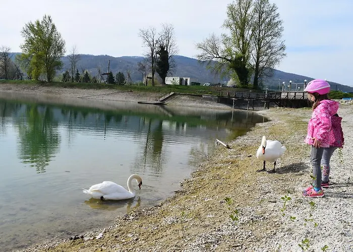 Appartement Borovnica Catez Catez ob Savi