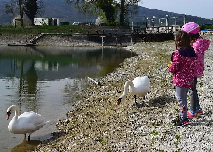 Апартаменты Borovnica Catez Чатеж-об-Сави